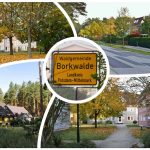 Borkwalde